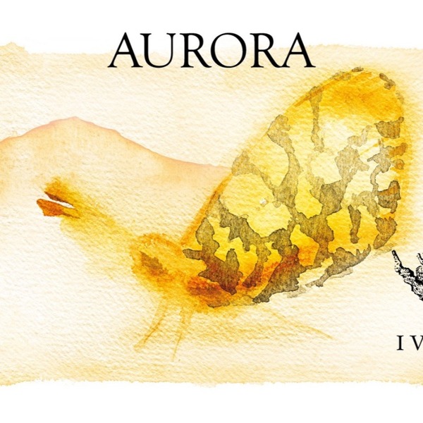 plp_product_/wine/i-vigneri-aurora-2022?currency=EUR