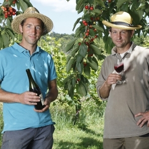 plp_product_/profile/domaine-du-mortier?currency=EUR