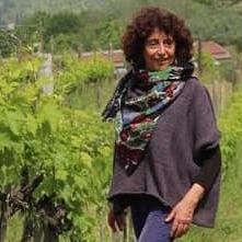 plp_product_/profile/fattoria-di-bacchereto?currency=EUR