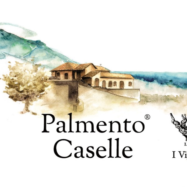 plp_product_/wine/i-vigneri-palmento-caselle-2020?currency=EUR
