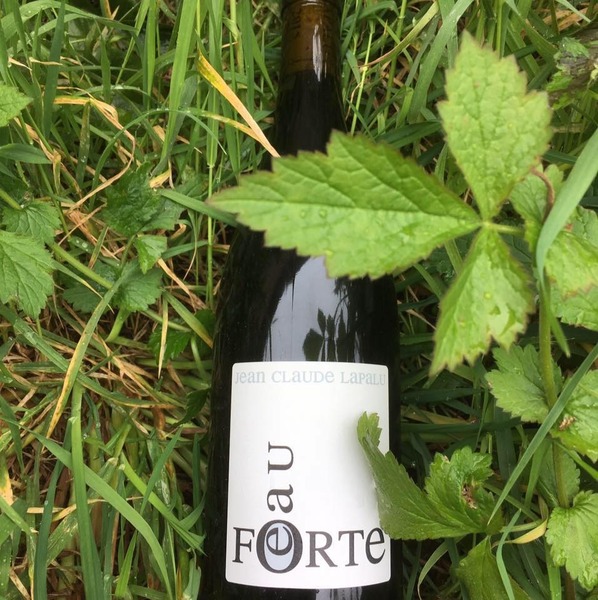 plp_product_/profile/domaine-jean-claude-lapalu?currency=EUR
