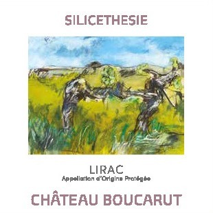 plp_product_/wine/chateau-boucarut-silicethesie-2021?currency=EUR